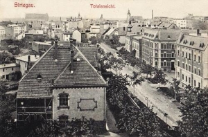 Strzegom panorama - Reprodukcja 32440