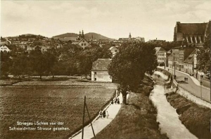 Strzegom ul. Świdnicka - Reprodukcja 32441