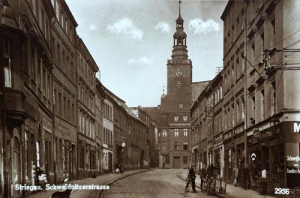 Strzegom ul. Świdnicka - Reprodukcja 32495