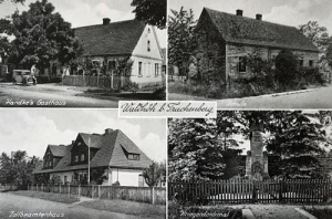 Laskowa widokowa - Reprodukcja 32520