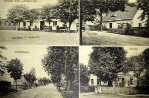 Laskowa widokowa - Reprodukcja 32521