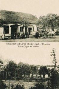 Ligota Piękna - Reprodukcja 32524