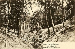 Ludgierzowice - Reprodukcja 32532