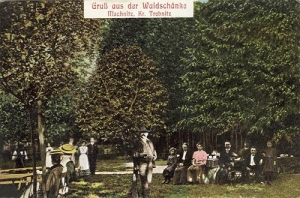 Machnice - Reprodukcja 32535