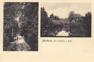 Machnice widokowa - Reprodukcja 32537