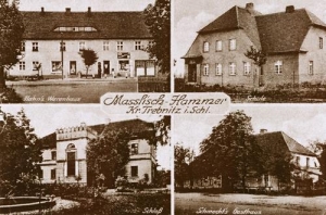Masłowiec widokowa - Reprodukcja 32546