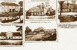 Masłowiec widokowa - Reprodukcja 32548
