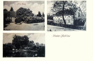 Miłonowice widokowa - Reprodukcja 32561