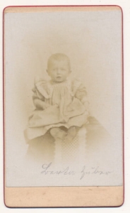 CDV Fotografia wizytowa - 4706