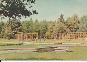 Dąbrowa Górnicza - 010582