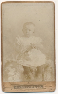 CDV Fotografia wizytowa - 5376