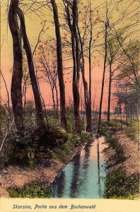 Skarszyn - Reprodukcja 32672