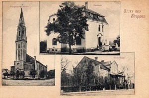 Strupina widokowa - Reprodukcja 32688