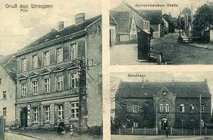 Strupina widokowa - Reprodukcja 32691