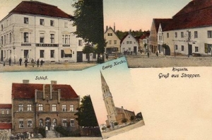 Strupina widokowa - Reprodukcja 32695