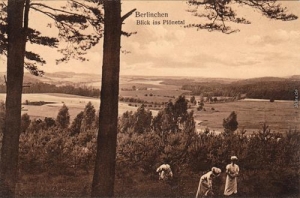 Barlinek panorama - Reprodukcja 32752