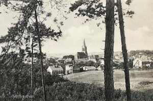 Barlinek panorama - Reprodukcja 32757