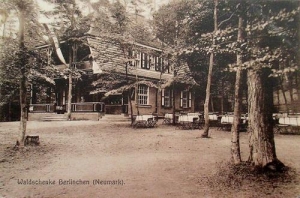 Barlinek - Reprodukcja 32766