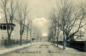 Strzelce Krajeńskie - Reprodukcja 32791