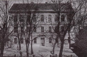 Strzelce Krajeńskie - Reprodukcja 32820