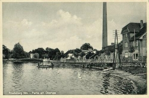 Strzelce Krajeńskie - Reprodukcja 32838