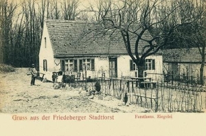 Strzelce Krajeńskie - Reprodukcja 32885