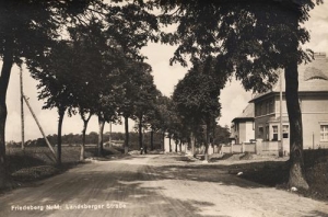 Strzelce Krajeńskie - Reprodukcja 32910