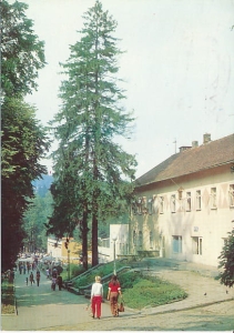 Rabka - 010653