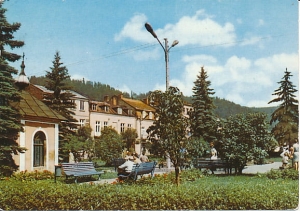 Muszyna - 010673