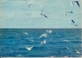 IMG_0009.jpg