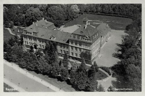 Rzepin lotnicza - Reprodukcja 33004