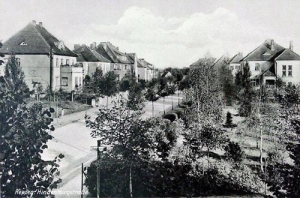 Rzepin Hindenburgstr. - Reprodukcja 33008
