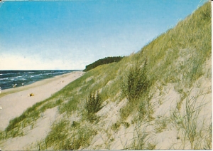 Brzeg morski - 010765