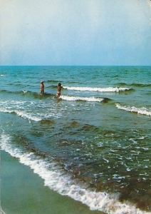 Brzeg morski - 010772