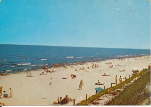 Brzeg morski - 010773