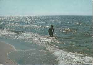 Brzeg morski - 010774