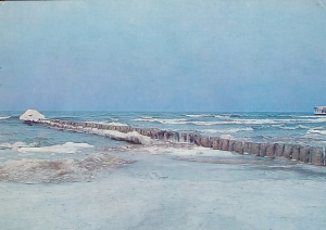 Brzeg morski - 010775