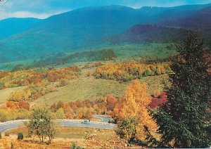 Bieszczady - 010800