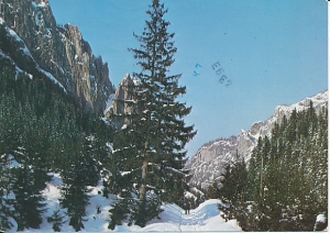 Tatry - 010822