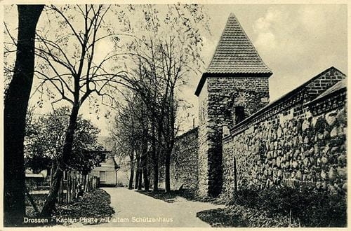 33036 (Copy).jpg