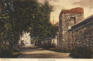 Ośno Lubuskie - Reprodukcja 33037