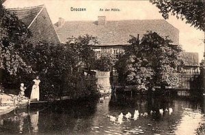 Ośno Lubuskie - Reprodukcja 33041