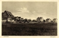 33043 (Copy).jpg
