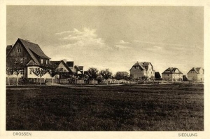 Ośno Lubuskie - Reprodukcja 33043