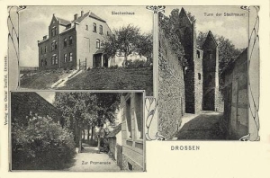 Ośno Lubuskie - Reprodukcja 33045
