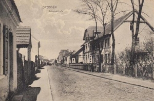 Ośno Lubuskie - Reprodukcja 33060