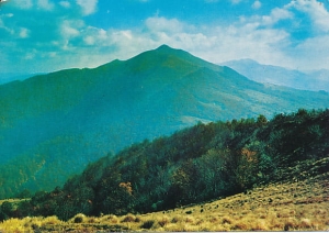 Bieszczady - 010836