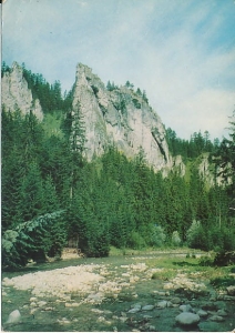 Tatry - 010841