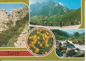 Tatry - 010846
