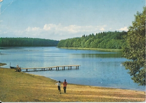 Złociniec - 010849